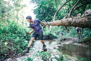 BIB: 
                            <button type="button" onclick="openModal(25432611)" class="btn btn-primary btn-sm float-right btn-popup" data-toggle="modal" data-target=".modal-high-quality">
                        <i class="fas fa-shopping-cart"></i> Add to Cart
                    </button>
                                            <button type="button" onclick="isThisMe(25432611, true)" class="btn btn-success btn-sm float-right btn-popup btn-isme hidden" data-toggle="tooltip" data-placement="bottom" title="นี่คือรูปของคุณใช่ไหม คลิกที่นี่เพื่อเอาเข้าอัลบั้ม">
                        <i class="fas fa-plus"></i> Add to album
                    </button>
                    <button type="button" onclick="isThisMe(25432611, false)" class="btn btn-warning btn-sm float-right btn-popup btn-isnotme hidden">
                        <i class="fas fa-ban"></i> Remove from album
                    </button>